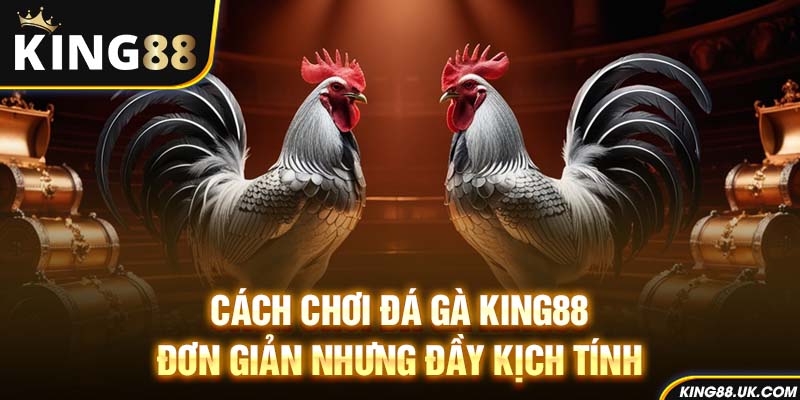 Cách chơi đá gà King88 – Đơn giản nhưng đầy kịch tính