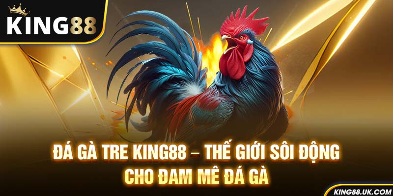 Đá Gà Tre King88 – Thế Giới Sôi Động Cho Đam Mê Đá Gà