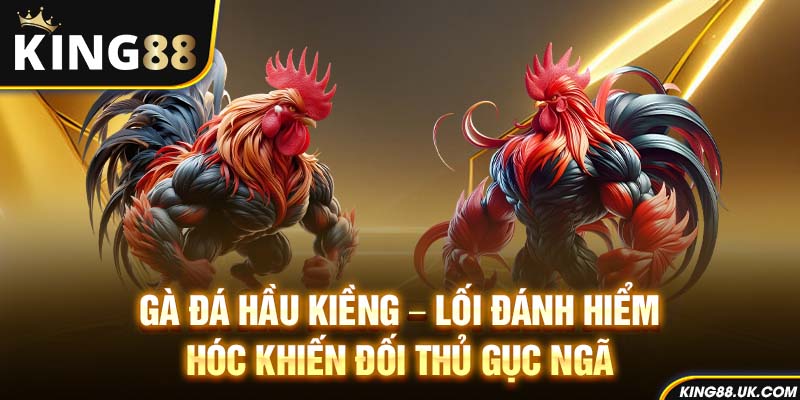 Gà Đá Hầu Kiềng – Lối Đánh Hiểm Hóc Khiến Đối Thủ Gục Ngã