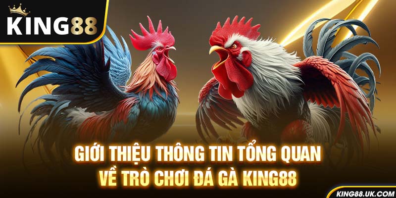 Giới thiệu thông tin tổng quan về trò chơi đá gà King88