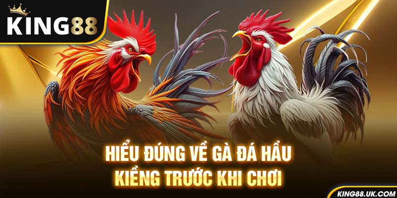 Hiểu đúng về gà đá hầu kiềng trước khi chơi