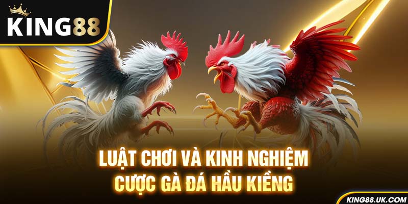Luật chơi và kinh nghiệm cược gà đá hầu kiềng