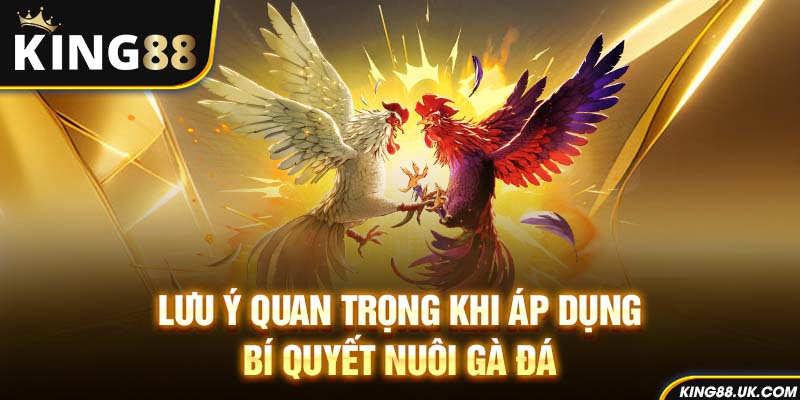 Lưu ý quan trọng khi áp dụng bí quyết nuôi gà đá