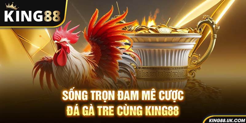 Sống trọn đam mê cược đá gà tre cùng King88